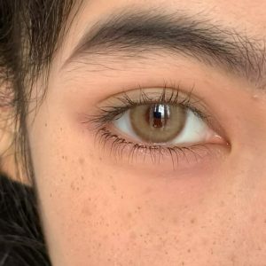 Coloredeye Aoki Brown Colored Contact Lenses