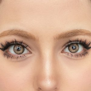 Coloredeye Wildcat Iris Brown Colored Contact Lenses