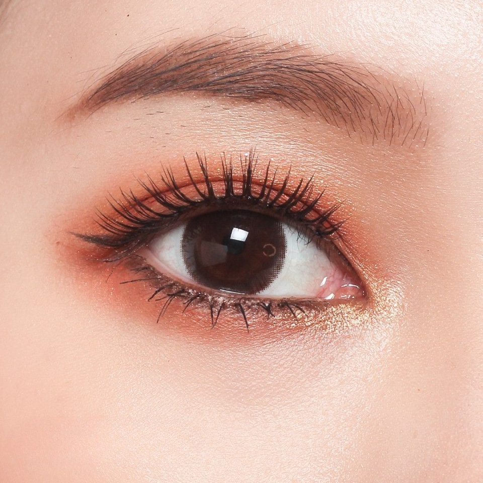 Viskon Basics Dazzling Choco Contact Lenses