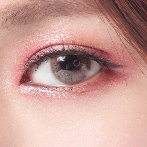 Viskon 1-Day Addict Brown (10 Lenses) Contact Lenses