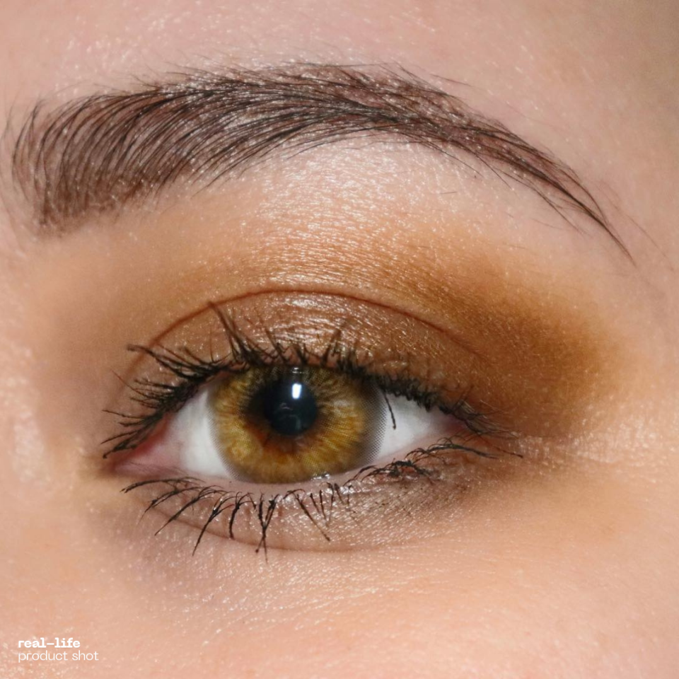 1-Day Atlantic Serene Brown (10 Lenses) Contact Lenses