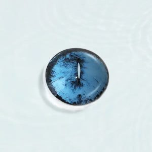 BlueMyst Feline Crazy Lens Contact Lenses