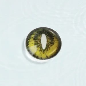 Wildcat Amber Crazy Lens Contact Lenses