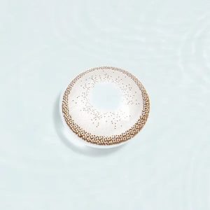 Eyemi Quartz Crystal Gray Contact Lenses