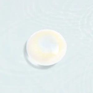 Viskon Signature Persian Gray Contact Lenses