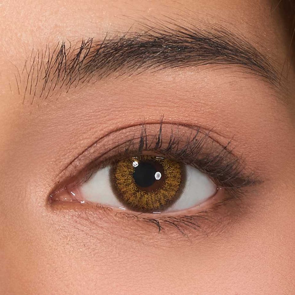 Solar Flare Brown Contact Lenses