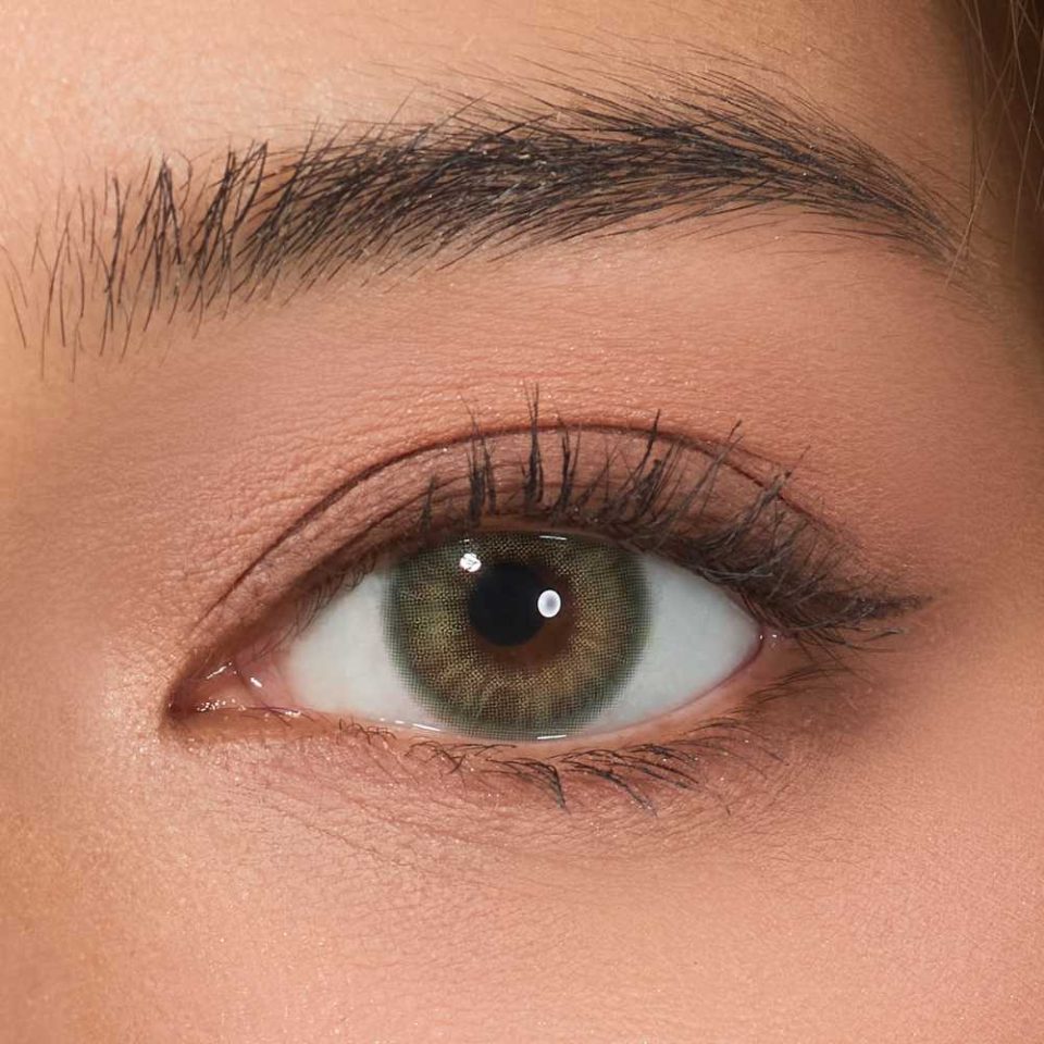 Palette Morandi Green Contact Lenses