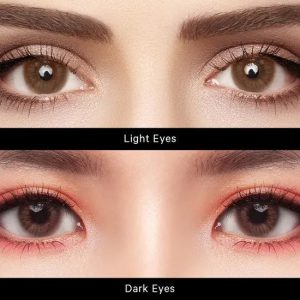 Palette Morandi Brown Contact Lenses