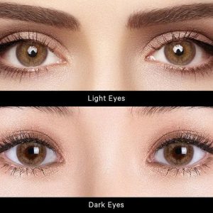 1-Day Atlantic Serene Brown (10 Lenses) Contact Lenses